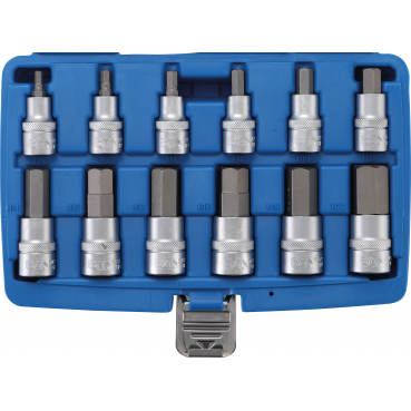 Bit-Einsatz-Satz | Antrieb Innenvierkant 12,5 mm (1/2") | Innensechskant 5 - 22 mm | 12-tlg. - KTStechnixx
