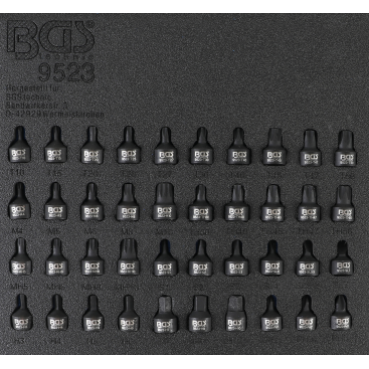 Werkstattwageneinlage 1/6: Kraft-Bit-Einsatz-Satz | Antrieb Innenvierkant 6,3 mm (1/4") | 40-tlg. - KTStechnixx