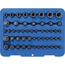 Laden Sie das Bild in den Galerie-Viewer, Bit-Einsatz- und Steckschlüssel-Einsatz-Satz | E-Profil / T-Profil (für Torx) / T-Profil (für Torx) mit Bohrung / TP-Profil (für Torx Plus) | 52-tlg. - KTStechnixx